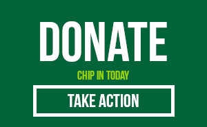 Donate to elect Green Cllrs